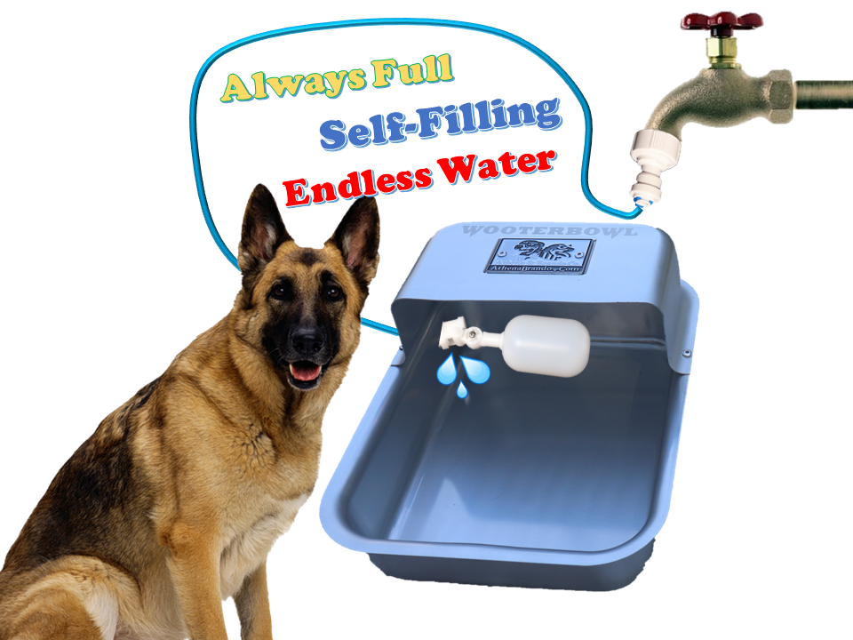 Self filling water bowl hot sale